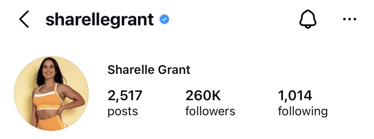 Client Instagram profile
